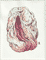 abstraction-bodily-functions-9-2025-a5-nsfw